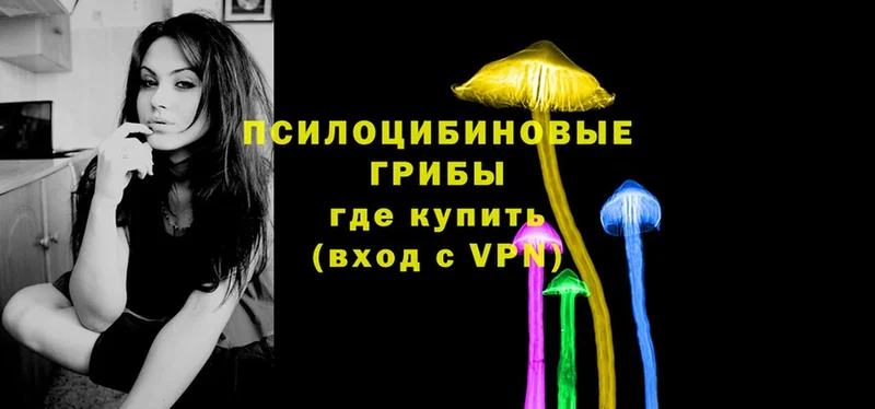 Псилоцибиновые грибы Magic Shrooms  где найти наркотики  Межгорье 